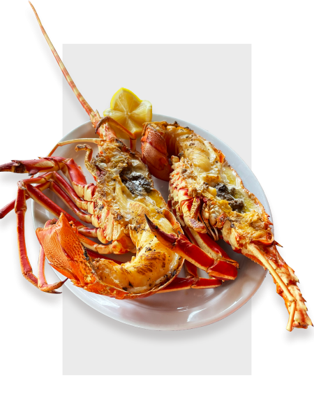 LE PIZZAIOLE - Restaurant italien Cavalaire - Cavalaire-sur-mer